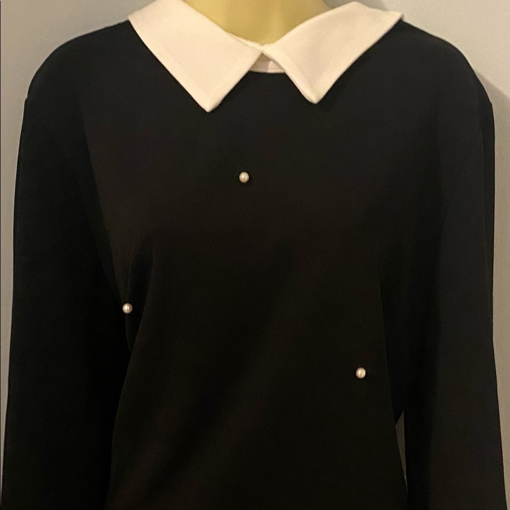 New! Wednesday Addams inspo Dress & Halloween costume by SHEIN